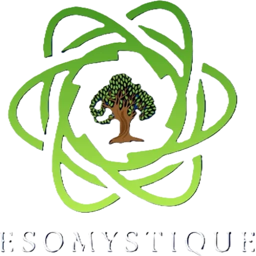 Logo officiel ECOMYSITQUE